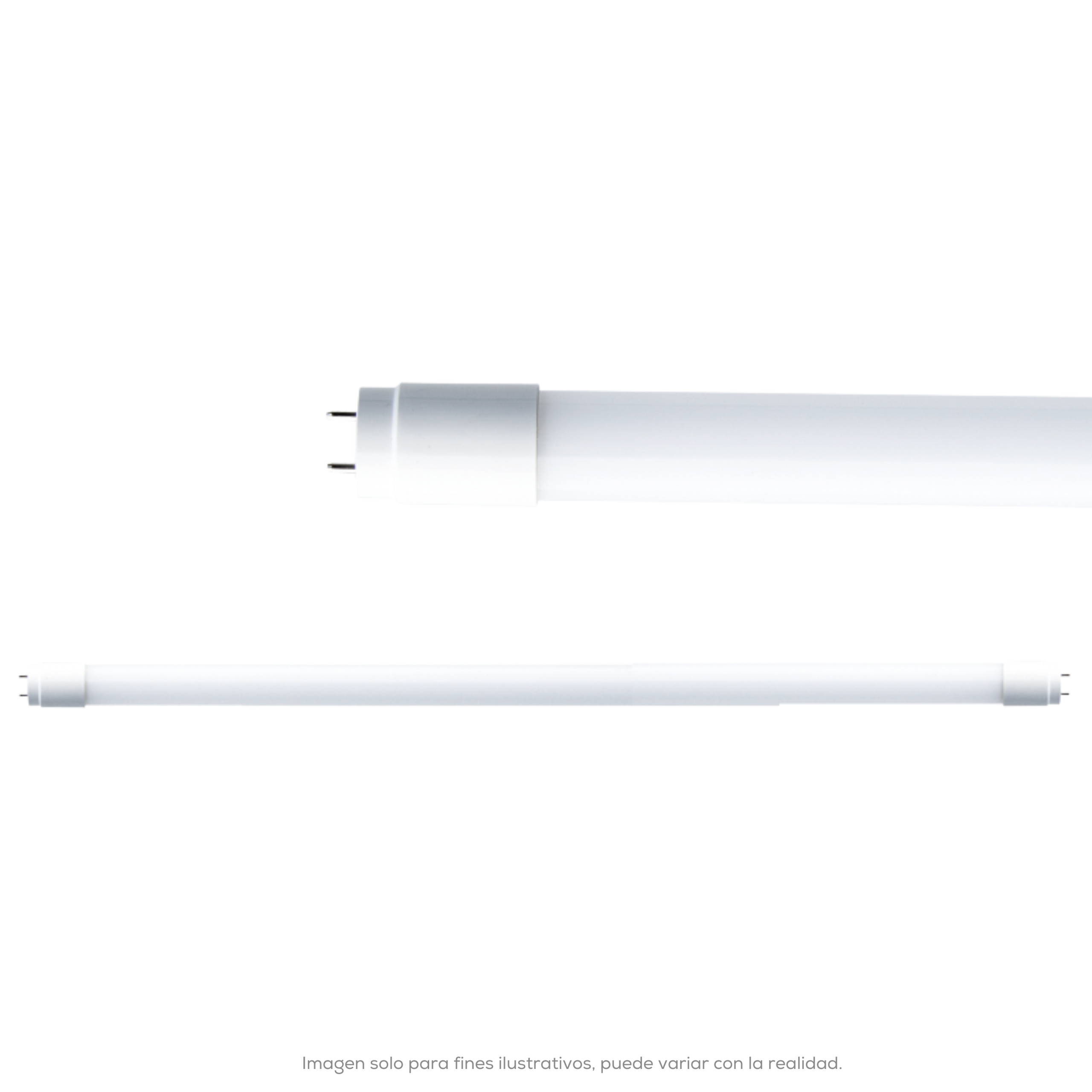 Lampara De Leds Tubular T8 20 W 120 CMS Cubierta Frost 6500 K