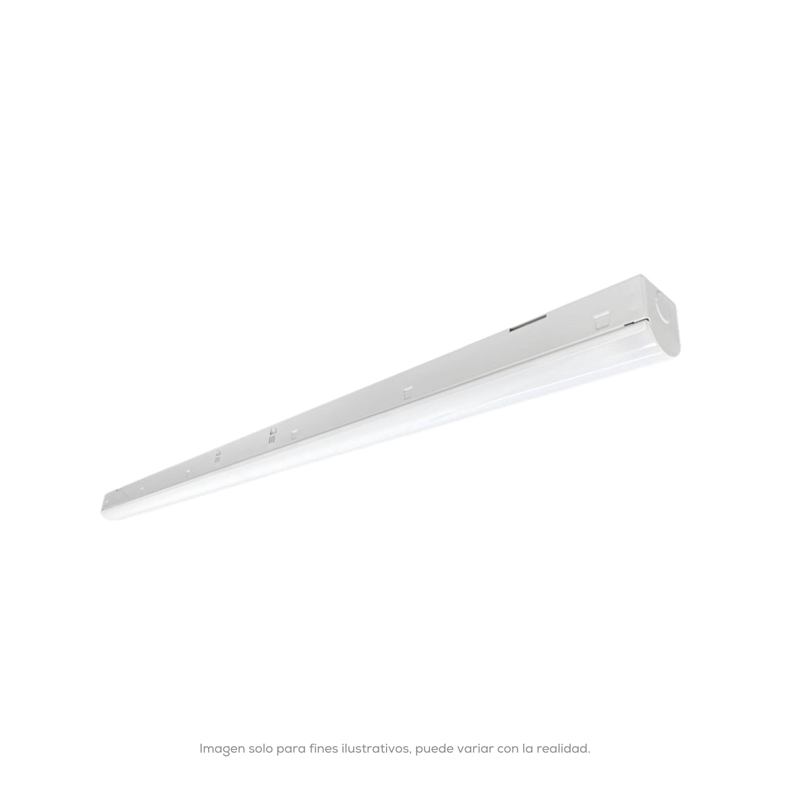 SLSF M8 L11 850 Mv CA